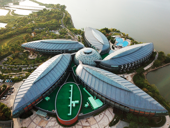 Pudong: Od poljoprivrednog zemljišta do modernog grada