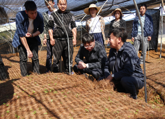 Profesor koji piše stručne radove na zemlji