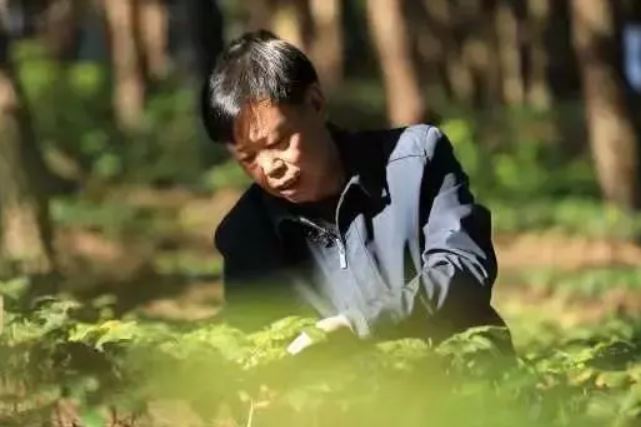 Profesor koji piše stručne radove na zemlji Profesor koji piše stručne radove na zemlji