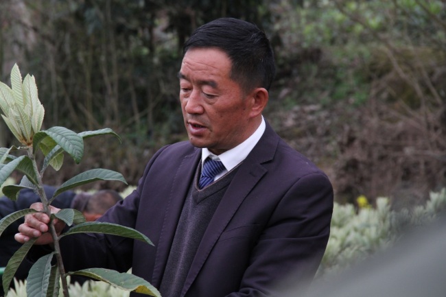 Pei Džungfu: Uzgajanjem voćaka do imućnijeg života