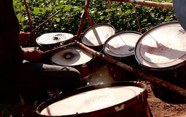 Džang Hongjuan: Čovek koji je ostvario muzički san na polju pamuka