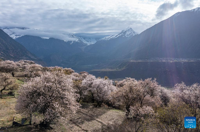 Očaravajuća planina Namjagbarva u Njingčiju