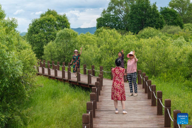 Državni močvarni park u Heilungđijangu